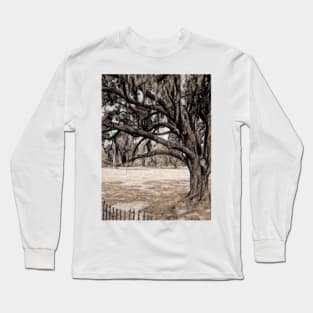 Trees On the Grounds of Jean Lafitte National Historical Park  Louisiana Long Sleeve T-Shirt